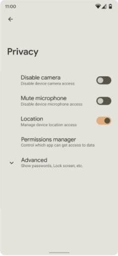 android 12 privacy permission