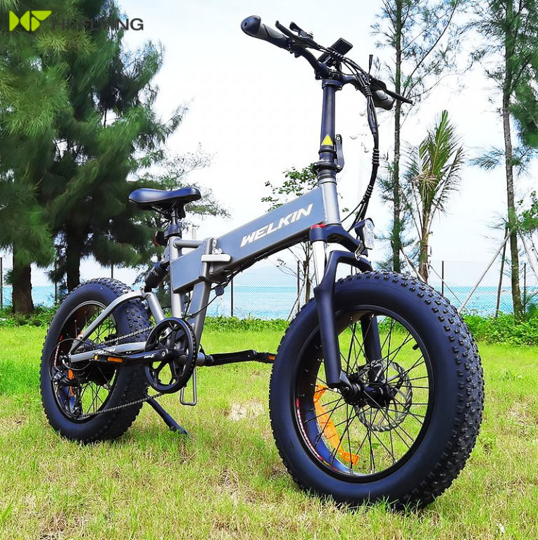 WELKIN WKES001 is a 500W fatbike with an incredible price under €700